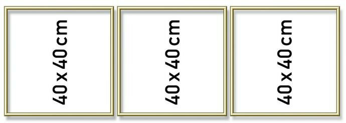 Goudkl. aluminium lijst drieluik 40/120cm