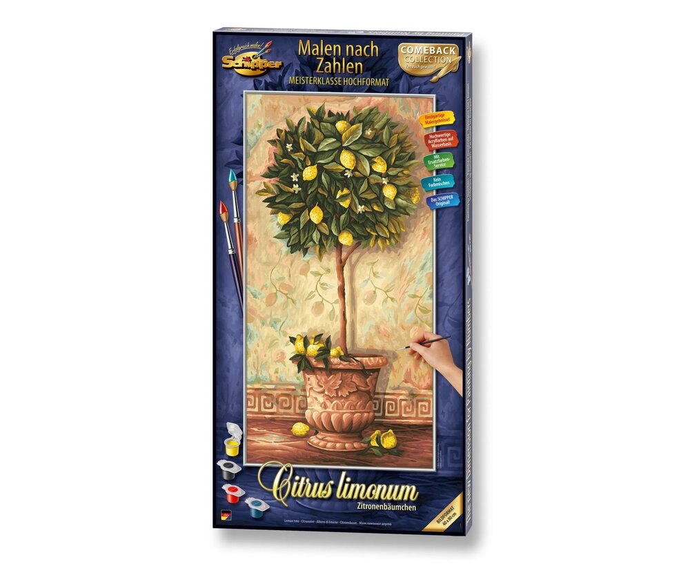 Citroenboom - Schipper 40 x 50 cm