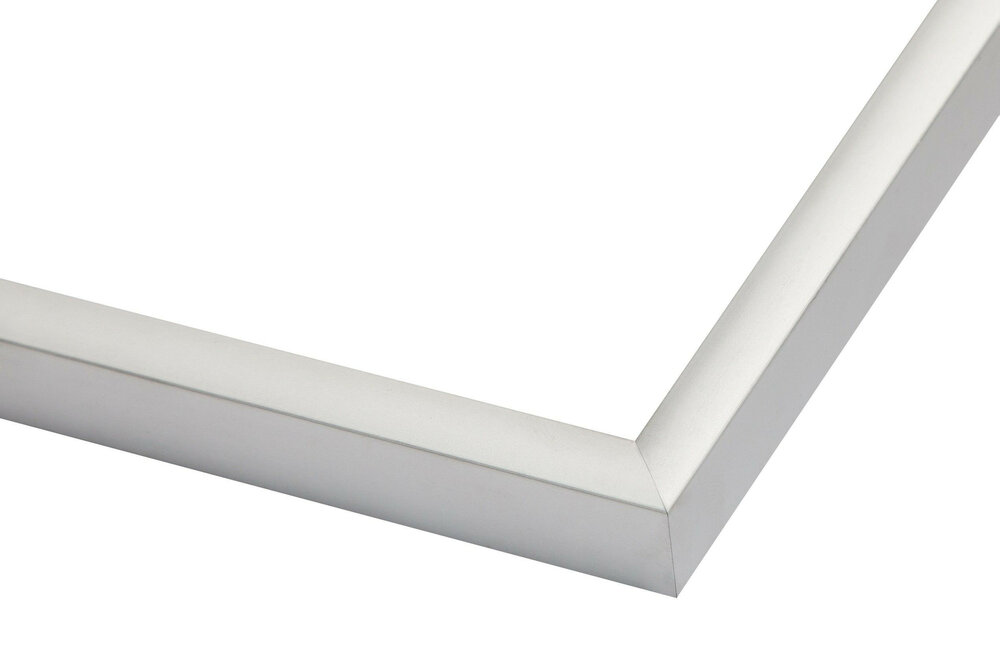 Mat Zwarte Aluminium Lijst 40 x 80 cm