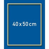 Goudkl. aluminium lijst 40x50 cm