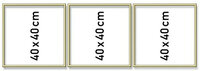 Goudkl. aluminium lijst drieluik 40/120cm
