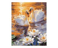 Verliefde Zwanen - Schipper 24 x 30 cm