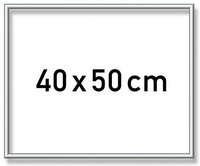 Zilverkl. aluminium lijst 40x50 cm