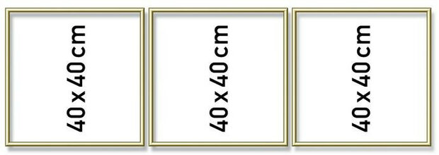 Goudkl. aluminium lijst drieluik 40/120cm