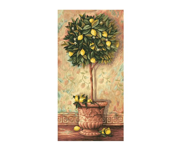 Citroenboom - Schipper 40 x 50 cm