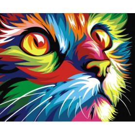 Regenboog Kat - Schilderen op nummer - 40 x 50 cm