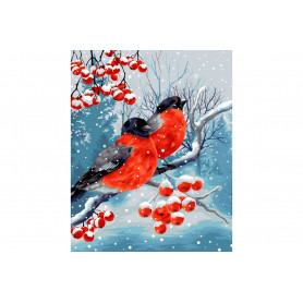 Bullfinches  Painting by numbers