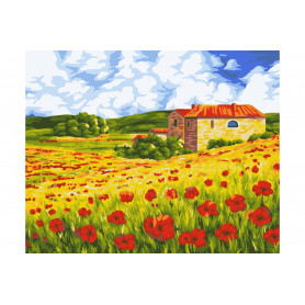 Poppy Meadow - Paint by Numbers - 40 x 50 cm