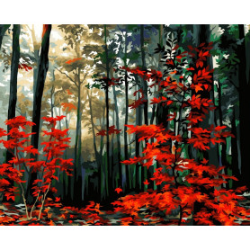 Morning in the Autumn Forest - Schilderen op nummer - 40 x 50 cm