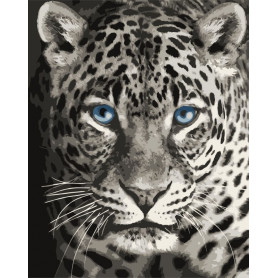 Blue Eyed Leopard - Schilderen op nummer - 40 x 50 cm