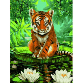 Tiger and Water Lilies - Schilderen op nummer - 40 x 50 cm