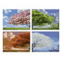 Four Seasons - Schipper Quattro 18 x 24 cm