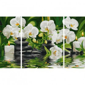 Witte Orchideeën - Schipper Drieluik 50 x 80 cm