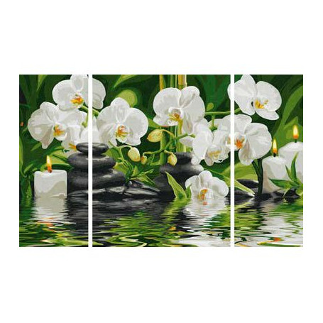 Witte Orchideeën