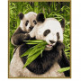 Pandas - Schipper 24 x 30 cm
