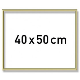 Goudkl. aluminium lijst 40x50 cm