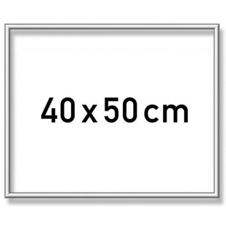 Zilverkl. aluminium lijst 40x50 cm